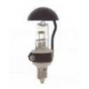 24V 40W E11 Şapkalı Halojen Ampul